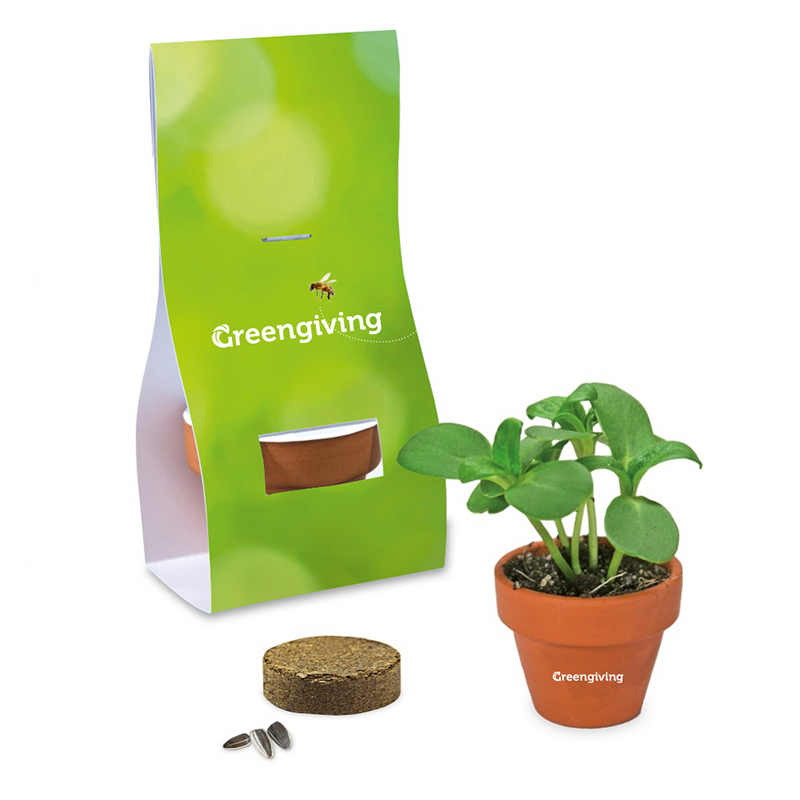 Mini Flowerpot with seeds | Eco gift